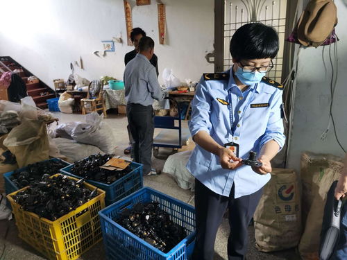 浙江發布打擊侵權假冒商品典型案例，化妝品批發領域成重點